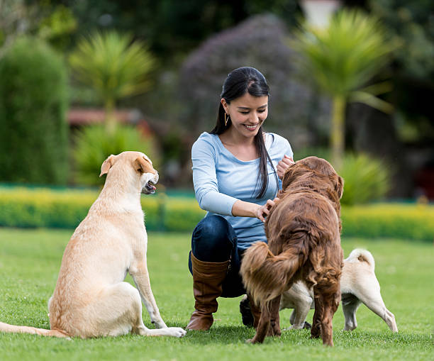 Your Guide to Finding the Best Dog Trainer Near Me