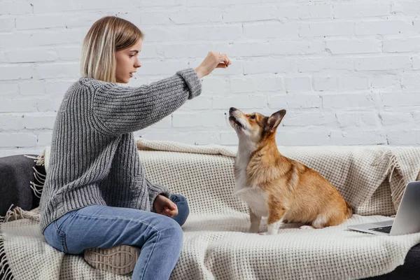 The Benefits of Obedience Training for Your Dog’s Behavior